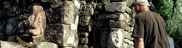 Image 03