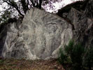 Image 07