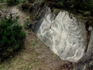 Image 06