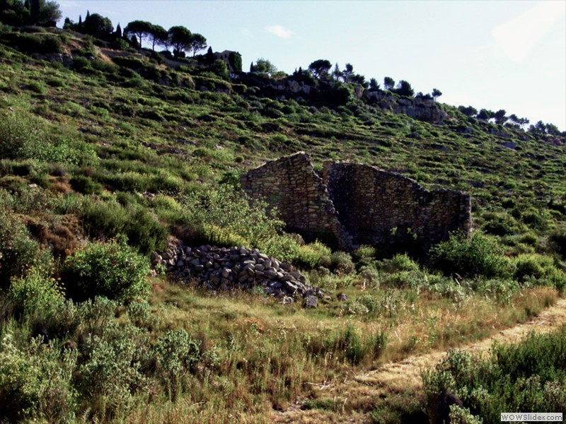 Projet - salon de provence